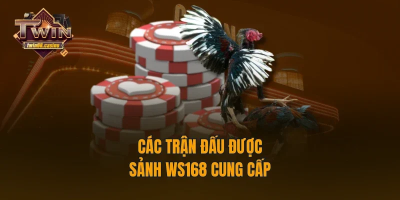 Các trận đấu được sảnh Ws168 cung cấp