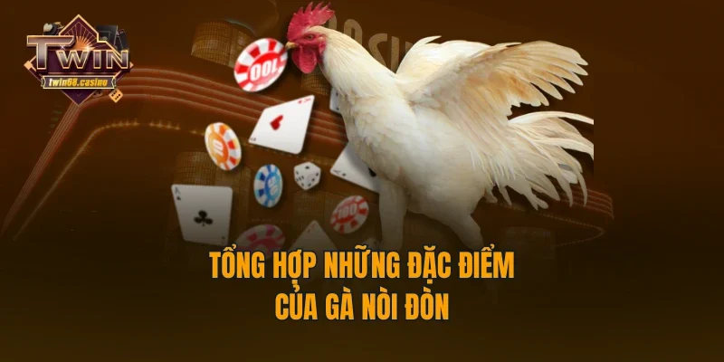 Nắm rõ các kỹ thuật chăm sóc, huấn luyện gà nòi đòn