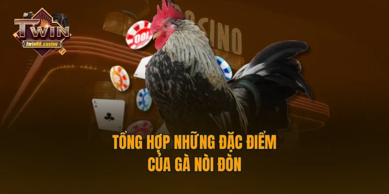 Tổng hợp những đặc điểm của gà nòi đòn